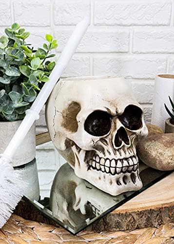 Ebros Gift Ossuary Skull Toilet Brush Set 1