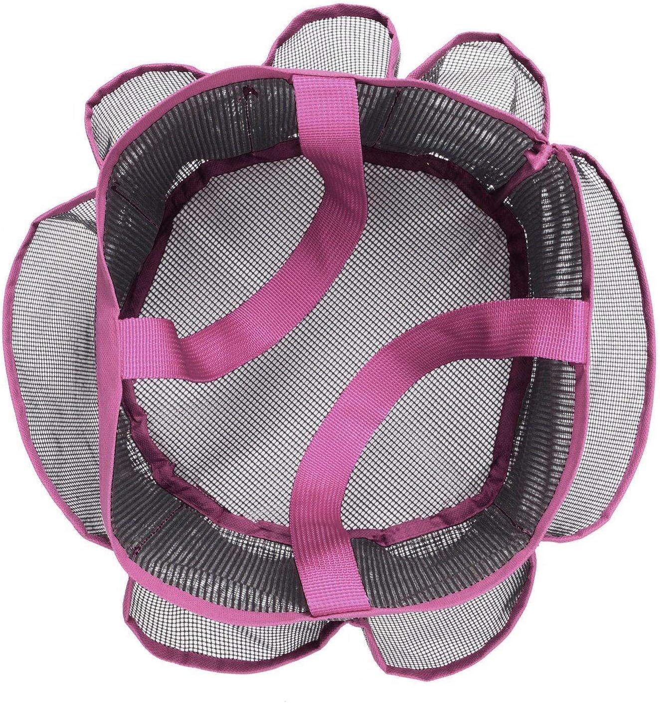 FINANCIALLY LIT 2 Pack Pink Shower Caddy Bag
