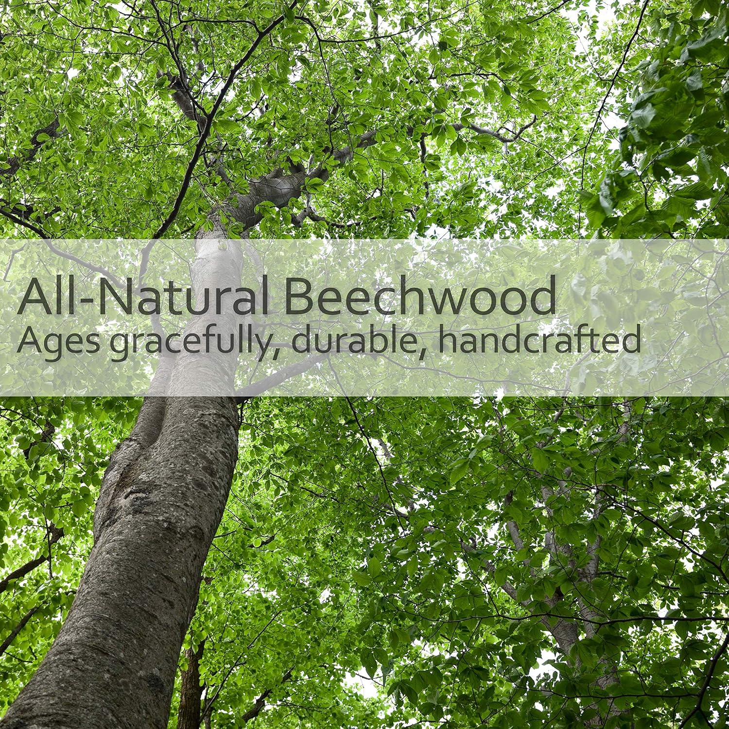 REDECKER Oiled Beechwood Toilet Brush with Replaceable Head